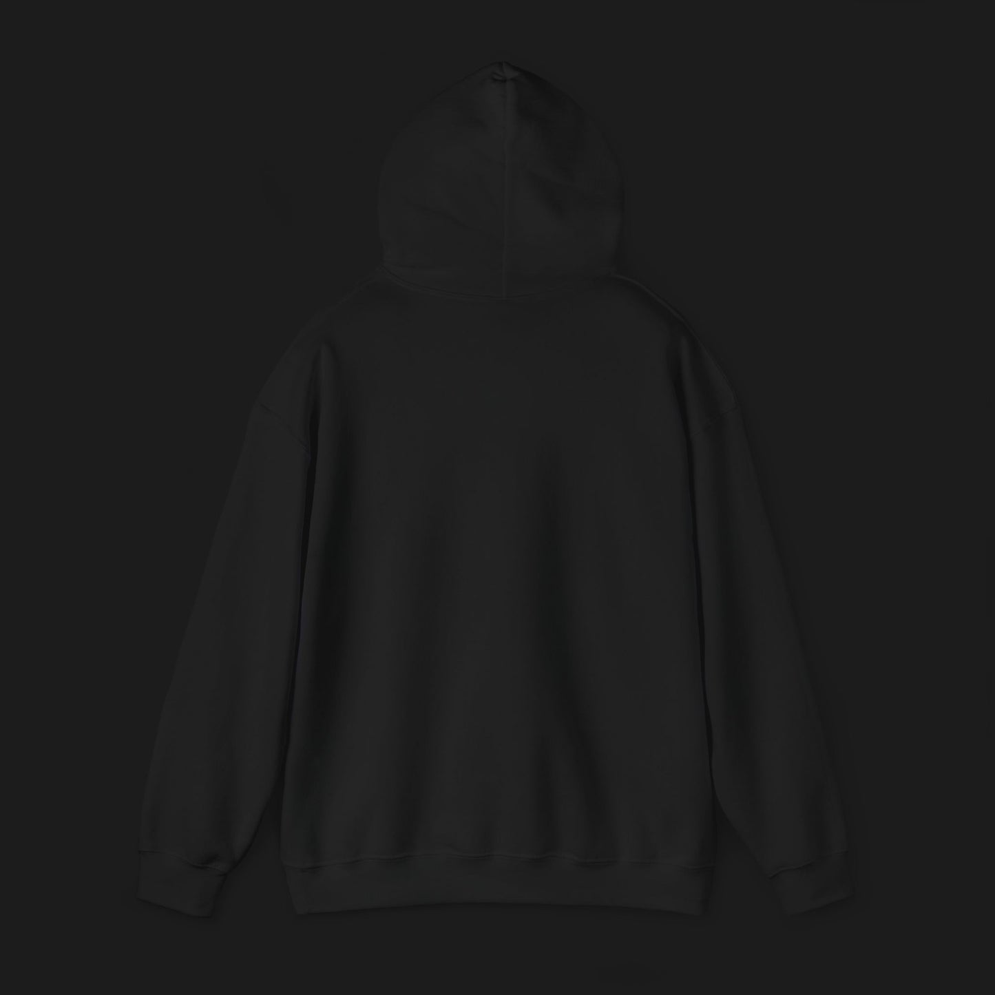 Privacy Hoodie